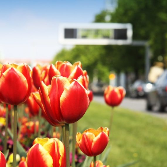 Spring-Car-Care-Tips-1024×693-570×570